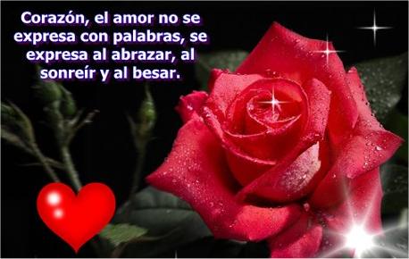rosa